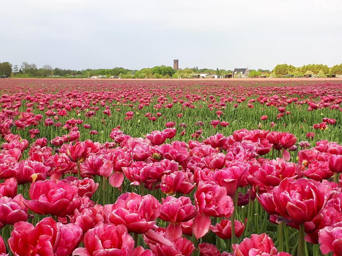 Bed En Breakfast En Bike Sommelsdijk Zewnętrze zdjęcie